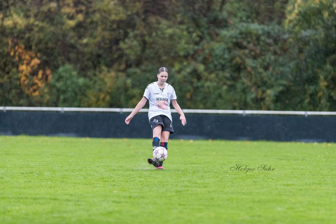 Bild 199 - wBJ SV Henstedt Ulzburg - FSG Oldendorf Itzehoe : Ergebnis: 1:5